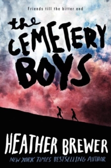 Image for The Cemetery Boys