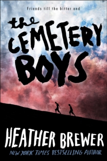 Image for The cemetery boys