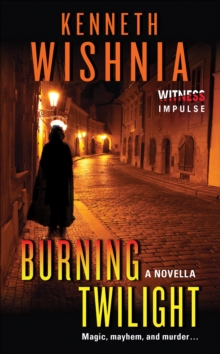 Image for Burning twilight: a novella