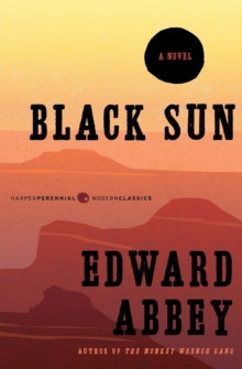 Image for Black Sun : A Novel