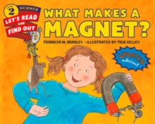 Image for What makes a magnet?