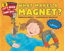 Image for What Makes a Magnet?