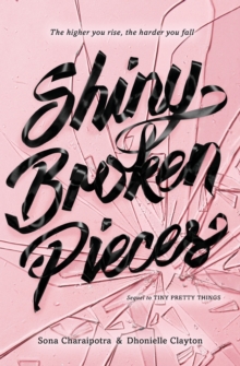 Image for Shiny broken pieces