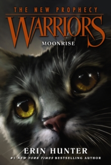 Image for Moonrise