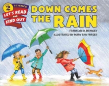 Image for Down Comes the Rain