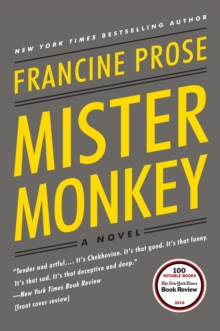 Image for Mister monkey: a novel