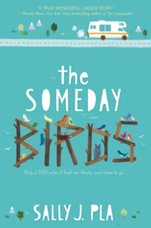 Image for The someday birds