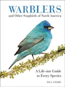 Image for Warblers and other songbirds of North America  : a life-size guide to every species