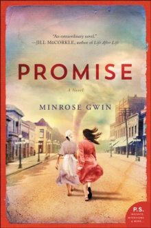 Image for Promise: A Novel