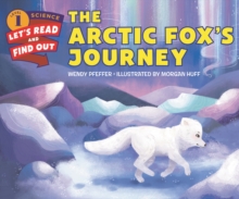 Image for The Arctic Fox's Journey