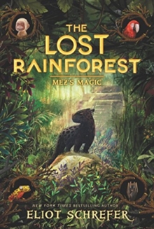 Image for The Lost Rainforest #1: Mez's Magic