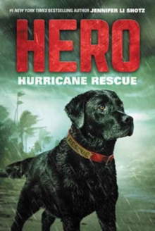 Image for Hero: Hurricane Rescue