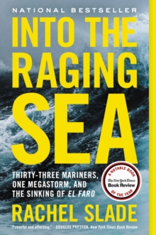 Image for Into the raging sea: thirty-three mariners, one megastorm, and the sinking of the El Faro
