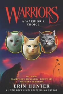 Warriors: A Warrior’s Choice