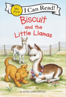 Image for Biscuit and the little llamas