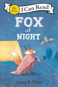 Image for Fox at night