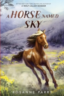 Image for A Horse Named Sky