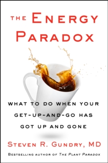 Image for The Energy Paradox: What to Do When Your Get Up and Go Has Got Up and Gone