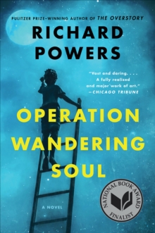 Image for Operation wandering soul: a novel