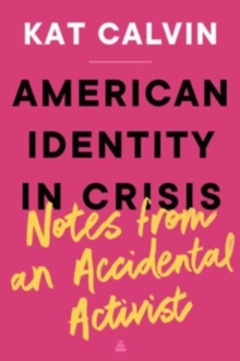 Image for American Identity in Crisis: Notes from an Accidental Activist