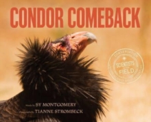 Image for Condor Comeback