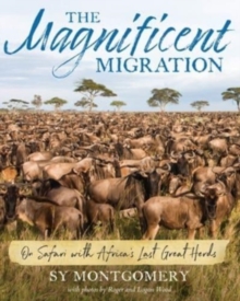 Image for Magnificent Migration