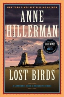 Image for Lost Birds