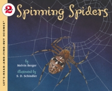 Image for Spinning Spiders