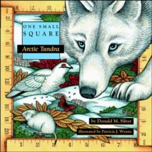 Image for Arctic tundra