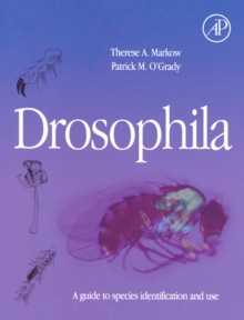 Image for Drosophila: a guide to species identification and use