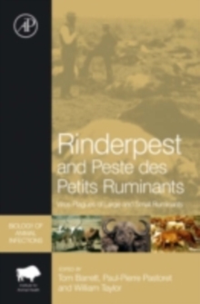 Image for Rinderpest and peste des petits ruminants: virus plagues of large and small ruminants