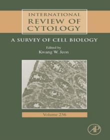 Image for International Review Of Cytology: A Survey of Cell Biology