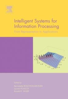 Image for Intelligent systems for information processing: from representation to applications