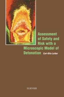 Image for Assessment of safety and risk with a microscopic model of detonation