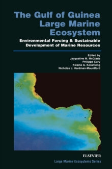 Image for The Gulf of Guinea large marine ecosystem: environmental forcing & sustainable development of marine resources