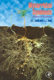 Image for Mycorrhizal symbiosis.