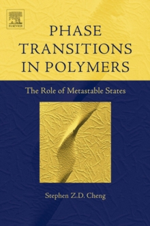 Image for Phase transitions in polymers: the role of metastable states
