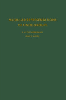 Image for Modular representations of finite groups