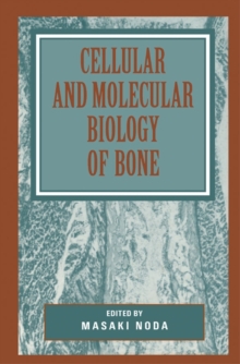 Image for Cellular and molecular biology of bone