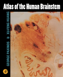 Image for Atlas of the human brainstem