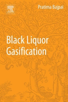 Image for Black liquor gasification