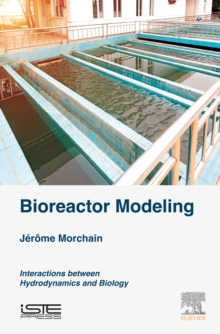 Image for Bioreactor modeling: interaction between intracellular reactivity and extracellular environment in bioreactors