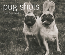 Image for Pug Shots
