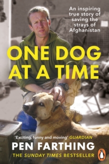 Image for One dog at a time  : saving the strays of Helmand