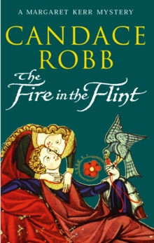 Image for The fire in the flint