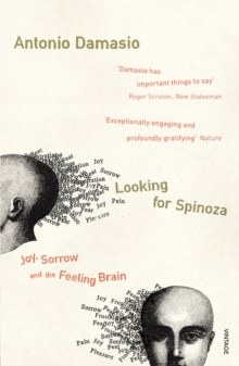 Looking For Spinoza: Joy, Sorrow and the Feeling Brain