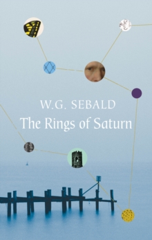 Image for The rings of Saturn