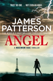 Image for Maximum Ride: Angel