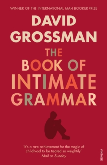 Image for The Book Of Intimate Grammar