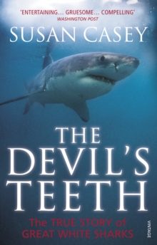 Image for The Devil's Teeth